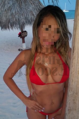 Khedija tantra massage in Holiday FL and live escorts